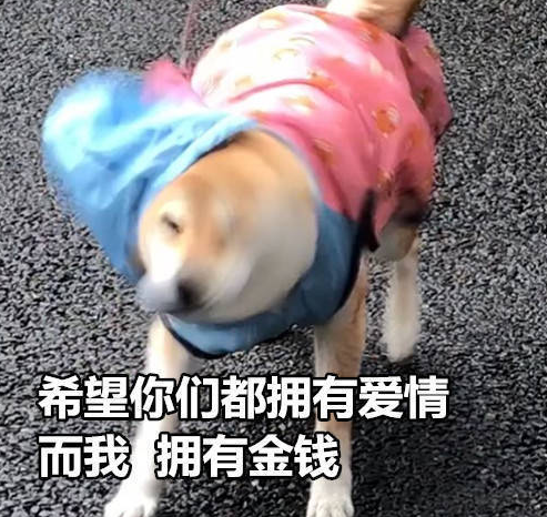 七夕單身朋友圈說說心情短語 七夕單身狗發的說說配圖 七夕單身朋友圈說說心情短語 七夕單身狗發的說說配圖