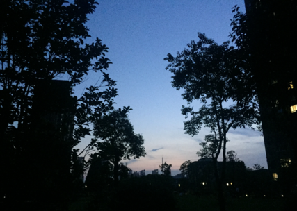 夏天雨后涼快的說說 描述夏天雨后涼快的句子