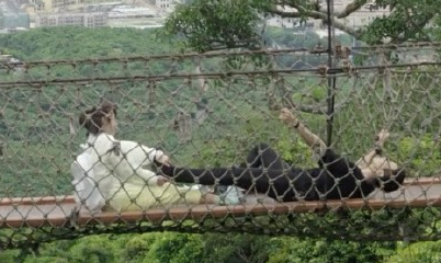 韓商言恐高是哪一集 韓商言為什么恐高 韓商言恐高是哪一集 韓商言為什么恐高