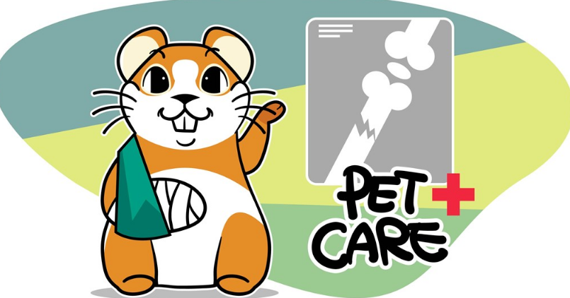 孩子挫傷怎么處理比較好 孩子挫傷怎么處理方法 