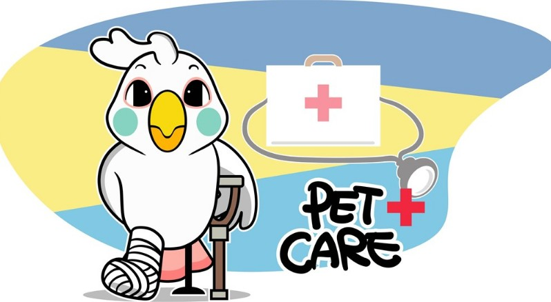 孩子挫傷怎么處理比較好 孩子挫傷怎么處理方法 