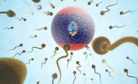 女性陰道炎會傳染給男性嗎 滴蟲性陰道炎可以通過性傳播嗎 女性陰道炎會傳染給男性嗎 滴蟲性陰道炎可以通過性傳播嗎