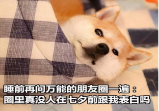 七夕單身朋友圈說說心情短語 七夕單身狗發的說說配圖