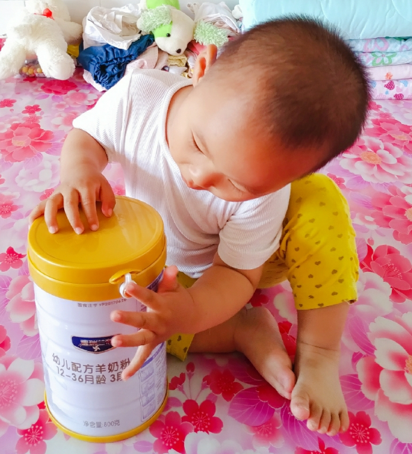 美羚羊奶粉怎么樣 美羚羊奶粉試用測評 美羚羊奶粉怎么樣 美羚羊奶粉試用測評