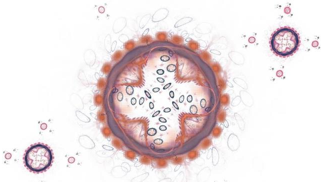 白帶異常是陰道炎嗎 陰道分泌物要做哪些檢查 白帶異常是陰道炎嗎 陰道分泌物要做哪些檢查