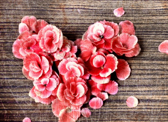 七夕想脫單說說大全 七夕想脫單的優美句子