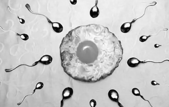 備孕期男人可以補鋅嗎 備孕期補鋅要多久有用