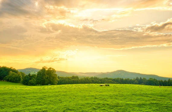 上班天氣熱的心情說說 上班天氣熱說說圖片 上班天氣熱的心情說說 上班天氣熱說說圖片