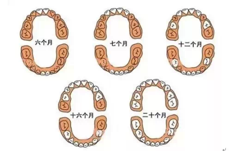 寶寶牙齒長全再刷牙好不好 寶寶什么時候可以開始刷牙