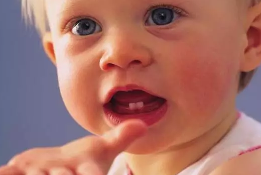 寶寶長牙齒了還能補鈣嗎 寶寶長牙的速度和補鈣有關嗎 寶寶長牙齒了還能補鈣嗎 寶寶長牙的速度和補鈣有關嗎