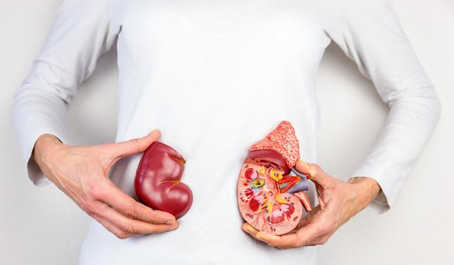 缺水嚴重會導致急性腎衰竭嗎 急性腎衰能治好嗎 缺水嚴重會導致急性腎衰竭嗎 急性腎衰能治好嗎