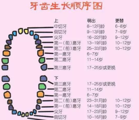 孩子長牙早是因為補鈣太多嗎 寶寶早長牙好還是晚長牙好