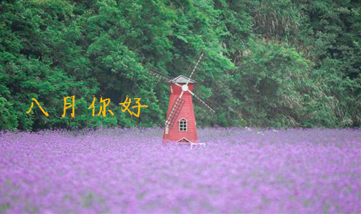八月你好心情說說 八月你好正能量勵志語錄