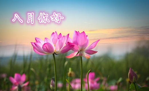 八月你好心情說說 八月你好正能量勵志語錄