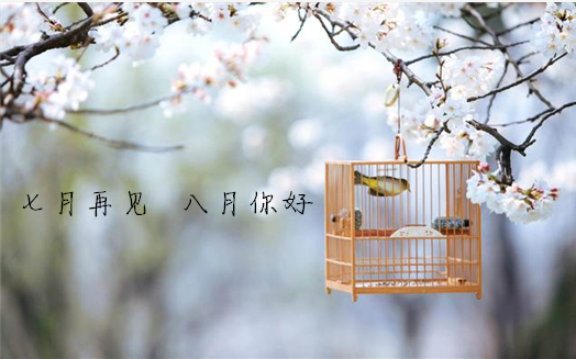 七月再見八月你好帶圖文字說說 七月再見八月你好唯美句子 七月再見八月你好帶圖文字說說 七月再見八月你好唯美句子