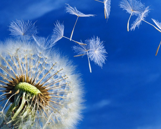 八月第一天早安心語 八月第一天說說圖片 八月第一天早安心語 八月第一天說說圖片