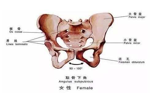 小個子孕婦適合順產(chǎn)嗎 小個子孕婦只能剖腹產(chǎn)嗎 小個子孕婦適合順產(chǎn)嗎 小個子孕婦只能剖腹產(chǎn)嗎