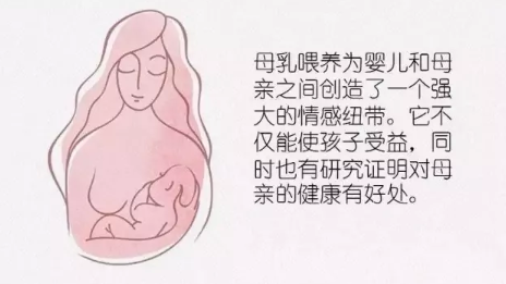 母乳喂養會導致身材走樣嗎 母乳喂養會導致身材發胖嗎
