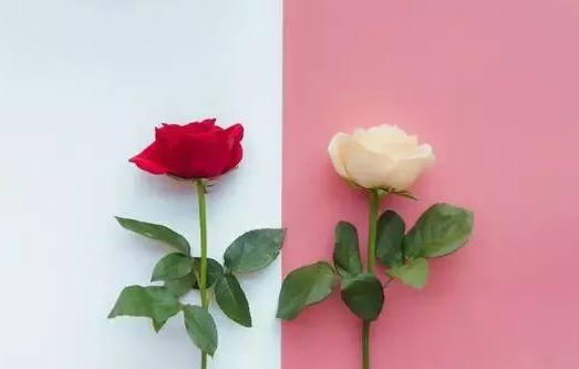 七夕朋友圈秀恩愛說說 七夕秀恩愛情話暖心句子