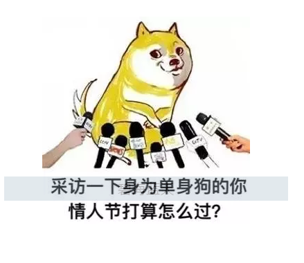 2019七夕情人節(jié)搞笑說說說 單身狗發(fā)朋友圈的句子