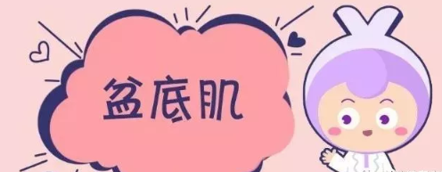 盆底肌出現(xiàn)問題有哪些后果 盆底肌修復(fù)有哪些作用