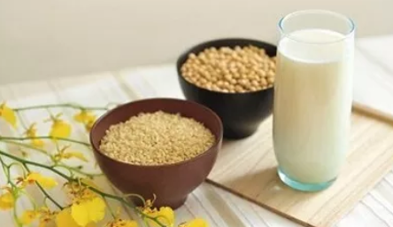 備孕喝豆漿容易懷孕嗎 備孕喝豆漿好不好