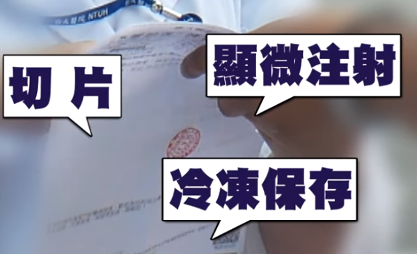 林志玲做試管嬰兒成功了嗎 做試管嬰兒的全過程