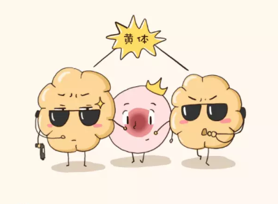 林志玲做試管嬰兒成功了嗎 做試管嬰兒的全過程