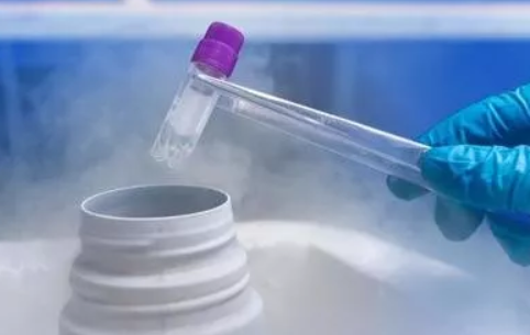 凍卵成功就可以隨時生孩子嗎 凍卵成功怎么生孩子 凍卵成功就可以隨時生孩子嗎 凍卵成功怎么生孩子