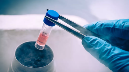 凍卵成功就可以隨時生孩子嗎 凍卵成功怎么生孩子 凍卵成功就可以隨時生孩子嗎 凍卵成功怎么生孩子