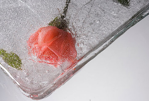 凍卵復(fù)蘇成功率是多大 凍卵復(fù)蘇需要多長(zhǎng)時(shí)間 凍卵復(fù)蘇成功率是多大 凍卵復(fù)蘇需要多長(zhǎng)時(shí)間