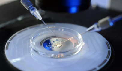 凍卵復(fù)蘇成功率是多大 凍卵復(fù)蘇需要多長(zhǎng)時(shí)間 凍卵復(fù)蘇成功率是多大 凍卵復(fù)蘇需要多長(zhǎng)時(shí)間