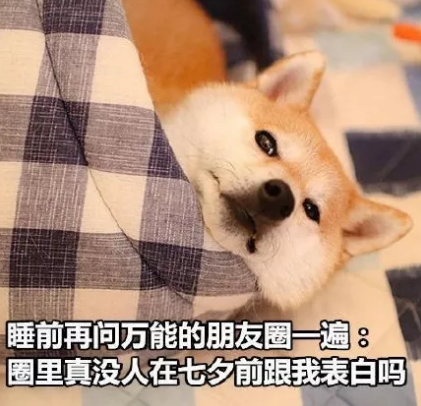 七夕快到了還是一個人 七夕快到了的幽默說說