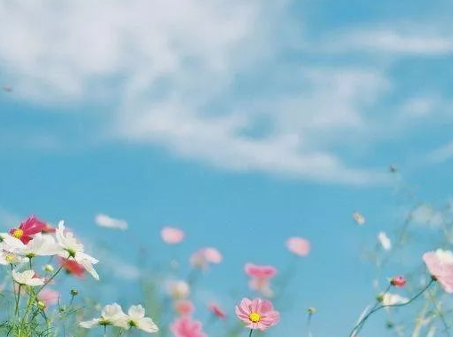 2019七夕情人節祝福語大全 七夕溫馨感人祝福語