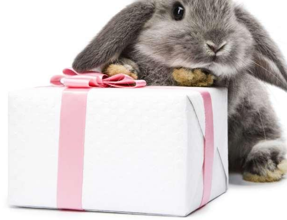  七夕想要禮物的句子 七夕想要禮物怎么發朋友圈 