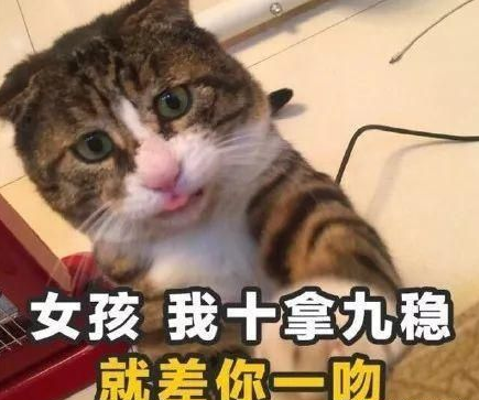 七夕土味情話大全 七夕表白土味情話句子