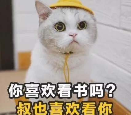 七夕土味情話大全 七夕表白土味情話句子