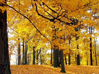 立秋說說朋友圈簡短唯美句子 立秋說說心情感言