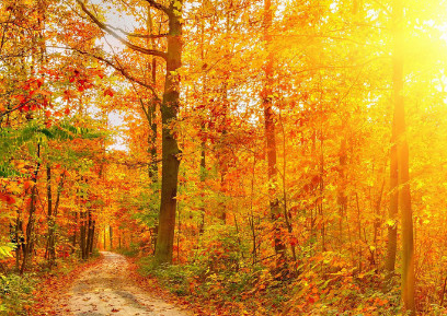 2019立秋朋友圈說(shuō)說(shuō) 立秋發(fā)什么說(shuō)說(shuō)好