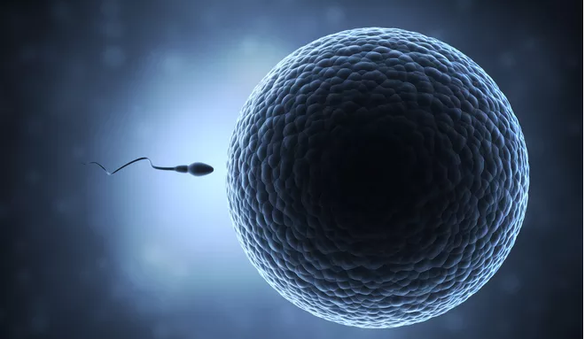 男女有效避孕方式大盤點(diǎn) 不靠譜的避孕方式有哪些