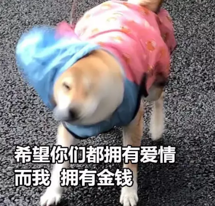 一個人的七夕傷感說說 單身七夕情人節2019