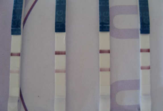 如何提高早孕試紙的準確率 使用早孕試紙的注意事項 如何提高早孕試紙的準確率 使用早孕試紙的注意事項