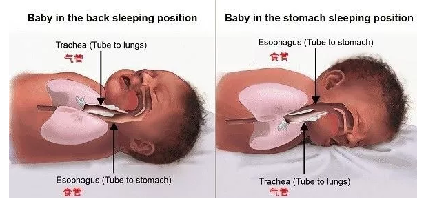 寶寶到底應該怎么睡呢 哪種睡姿最適合寶寶 寶寶到底應該怎么睡呢 哪種睡姿最適合寶寶