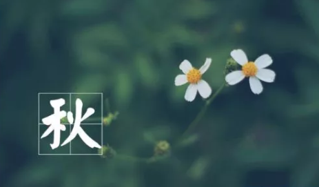 立秋節氣朋友圈祝福語大全 2019立秋祝福語帶圖片大全