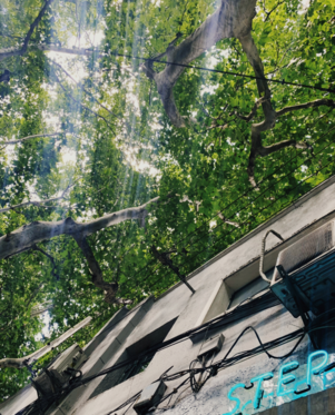 關(guān)于立秋的心情感慨 馬上秋天的說說句子