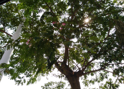 關(guān)于立秋的心情感慨 馬上秋天的說說句子