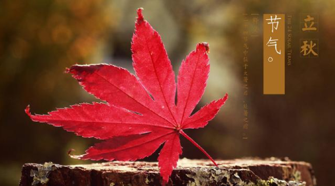 2019立秋依然熱的搞笑心情說說 2019立秋依然熱的搞笑句子