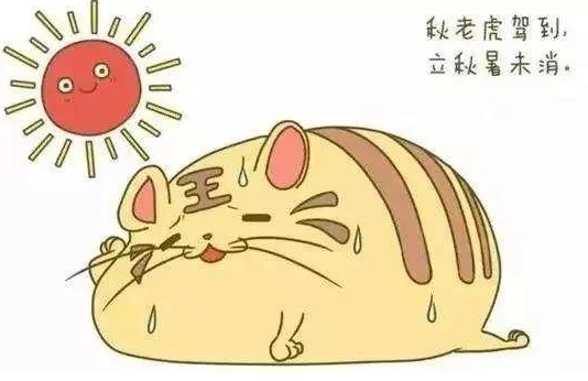 立秋還熱幽默搞笑的句子短語 立秋還熱的朋友圈說說