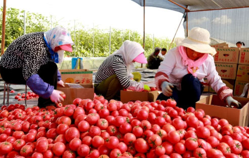 立秋有哪些習(xí)俗 立秋傳統(tǒng)風(fēng)俗介紹 立秋有哪些習(xí)俗 立秋傳統(tǒng)風(fēng)俗介紹