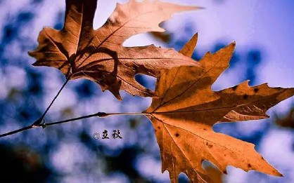 立秋節(jié)氣朋友圈簡(jiǎn)單說(shuō)說(shuō) 立秋祝福語(yǔ)帶圖片 立秋節(jié)氣朋友圈簡(jiǎn)單說(shuō)說(shuō) 立秋祝福語(yǔ)帶圖片